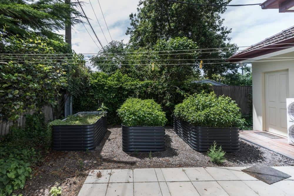 3 Bdrm 2 Bthrm House Close To Canberra Cbd & Anu 외부 사진